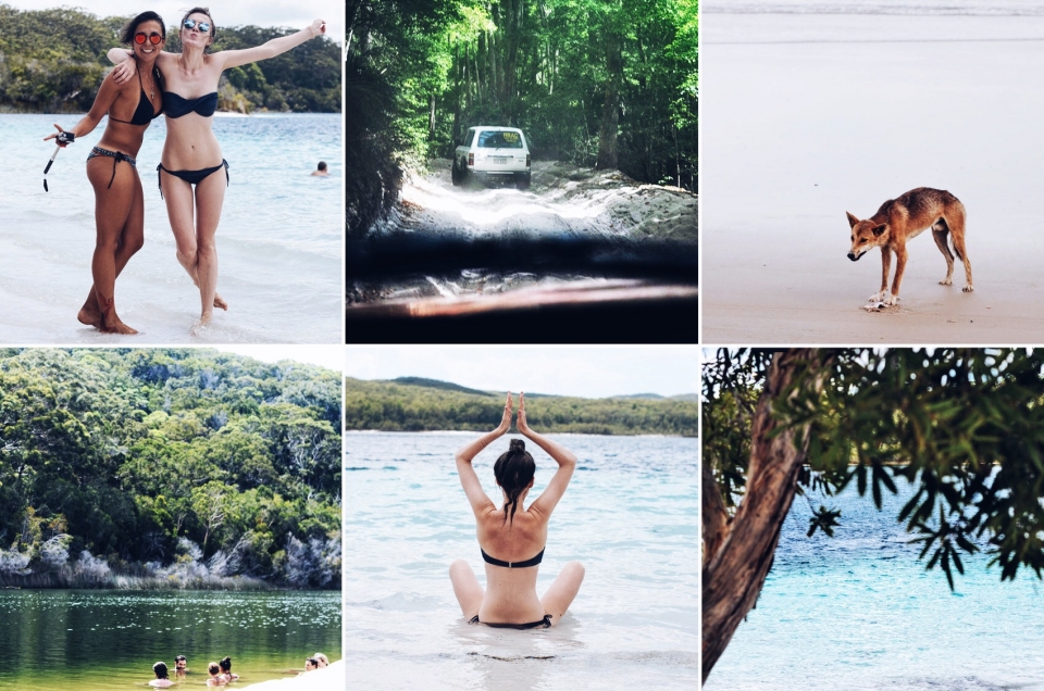 Eindrücke Australien, dschungel, wasser, lagune, strand jeep, Bikini, Hund