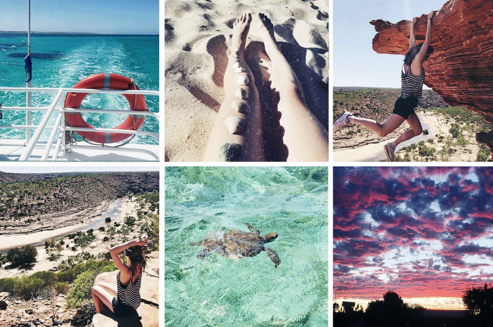 westcoast australien, sonnenuntergang, meer, schildkröte, sand